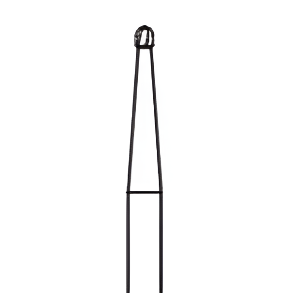 DENTCITY FG1 RA 1